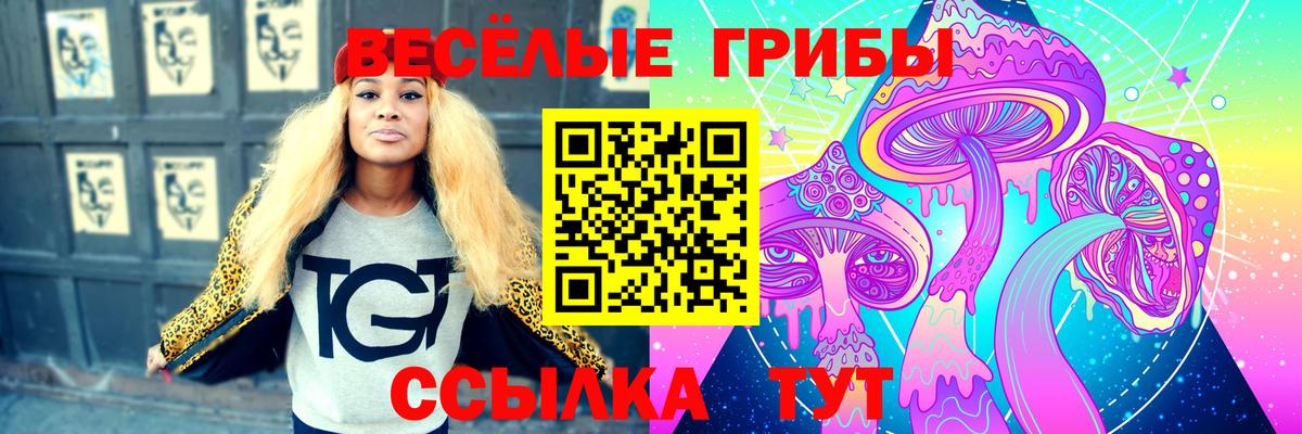 Псилоцибиновые грибы GOLDEN TEACHER Брянск