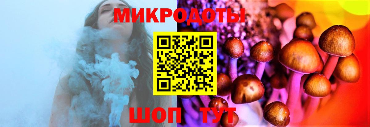 Брянск  где купить наркоту  Вход с VPN  Галлюциногенные грибы мицелий 